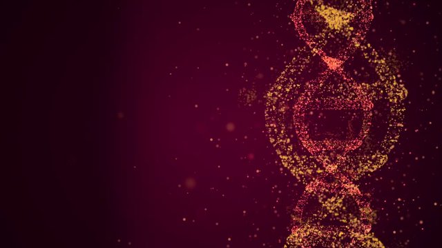 DNA evolution concept. Loopable video of abstract particles forming a dna frame and spinning in space.