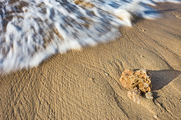 Coral stone on the sea beach