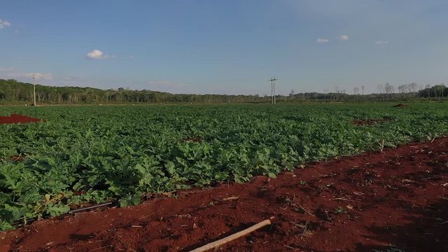Agro industria