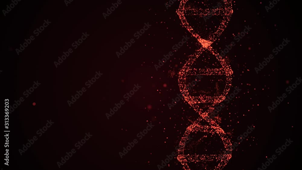 Aufkleber animated presentation of infected dna cells rotating on black background and beaming red light.