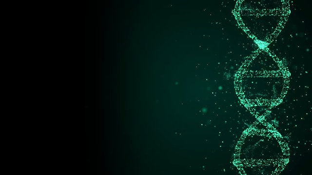 Animated DNA chain model in 3D render, floating on the side of screen with copyspace for additional educational information.