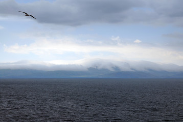 Fototapeta na wymiar Cloudy sky and seagull above Sevan Lake. Gegharkunik Region, Armenia.