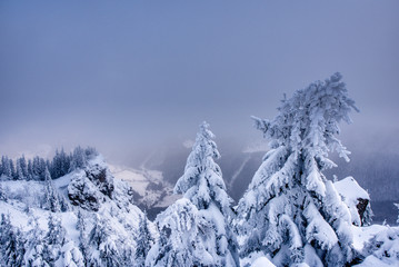 Winter landscape. Winter wonderland with forest snowy trees, slovakia