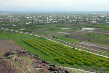 Rural landscape. Armavir Region, Armenia.