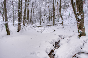 Fototapeta na wymiar Winter landscape. Winter wonderland with forest snowy trees, slovakia
