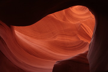 Orange valley in Antelope Canyon located in Arizona, United States of America