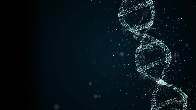 Rotating DNA high-detailed helix strand under examination.