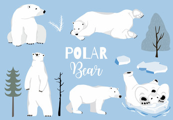 Simple white bear character.Vector illustration character doodle cartoon