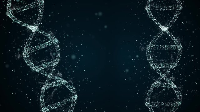 DNA division concept. Loopable abstract background of dna duplicating its contents and dividing into two new cells called daughter cells.