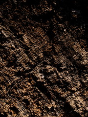 OLYMPUS DIGITAL CAMERA E-330