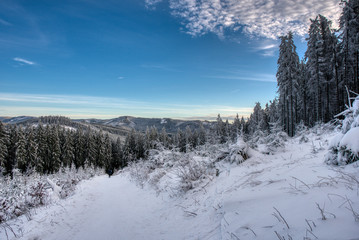 Fototapeta na wymiar Beautiful winter landscape with snow covered trees , czech beskydy 