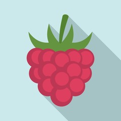 Fruit raspberry icon. Flat illustration of fruit raspberry vector icon for web design