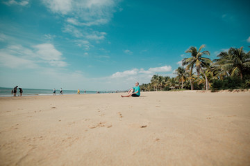 sky beach palm trees
