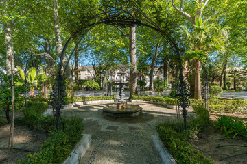 Landscapes of a small park 