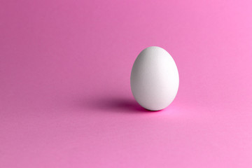 one chicken raw egg on rose and pink background, close-up and side view of farm products, easter concept with copy space