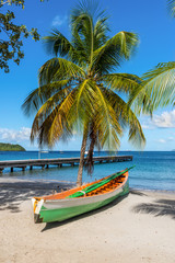 Fototapeta na wymiar Wooden boat under a palm tree on the on tropical beach - the caribbean island of Martinique