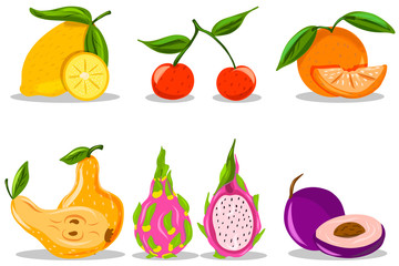 Fruit. Bright. Hand drawing. Dragon fruit, pear, orange, plum. For your design.