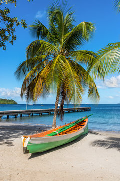 Wooden boat under a palm tree on the on tropical beach - the caribbean island of Martinique
