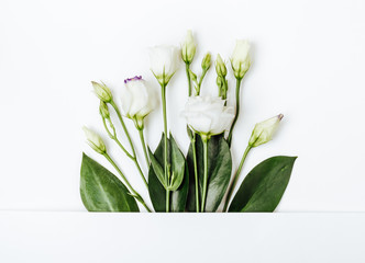 Creative layout made with white flowers on white background. Holiday minimal concept
