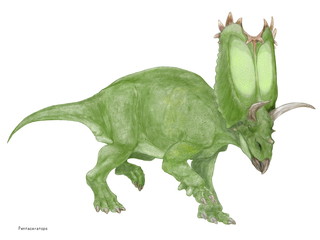 ペンタケラトプス　「五本の角のある顔」を意味する古代ギリシャ語で命名された角竜類。目の上の2本の角 鼻の上の短い角、そして2本の頬骨の突起がその由来である。最大で8メートル程度の角竜だがフリルは大きく重量感がある。白亜紀後期の北米大陸に生息した。同時期の恐竜トリケラトプスの生息域と重なっている。