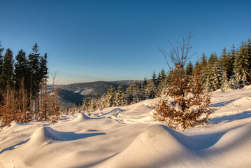 Fototapeta na wymiar Beautiful winter landscape with small hills and snow-covered fir trees. czech beskydy