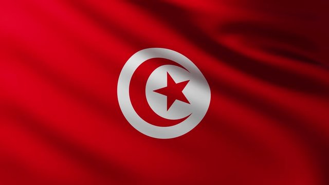 Large Flag of Tunisia fullscreen background fluttering in the wind