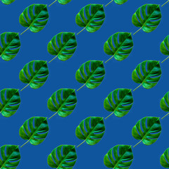 Seamless Pattern made with green monstera leaves over trendy classic blue color background.