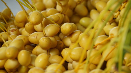 Fresh dates from the palm tree Thailand