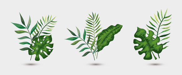 Naklejka na ściany i meble set of branches with leafs tropicals vector illustration design