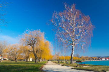 Trees along a pathway near the beach of Balatonkenese