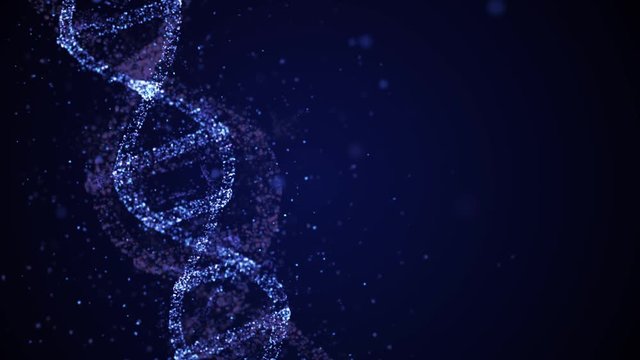 Genetics Heredity concept. 3d animation of DNA consisting of particles with ancestors' genetic traits.