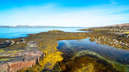 Summer landscape of the coast of the Barents Sea, Russia. Stone coast and tundra.