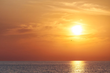 Obraz na płótnie Canvas Yellow orange Sunset on sea or ocean, beach coast. Alone man on sunset beach on land.
