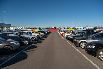 Cars in a row. Used car sales