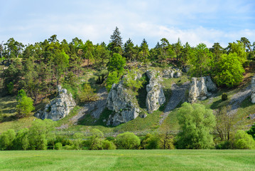 Felslandschaft Zw&ouml;lf-Apostel-Felsen im Altm&uuml;hltal