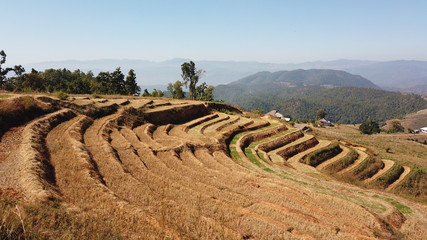 north thailand baan pa bong piang village