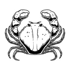 Illustration of the crab in engraving style isolated on white background. Design element for poster, card, emblem, banner, logo. Vector illustration