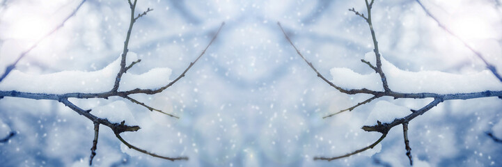 Tree branches covered in snow on a snowing day. Beautiful winter background. Panoramic banner.