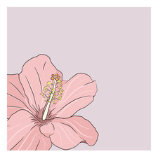 Hibiscus flower card template5