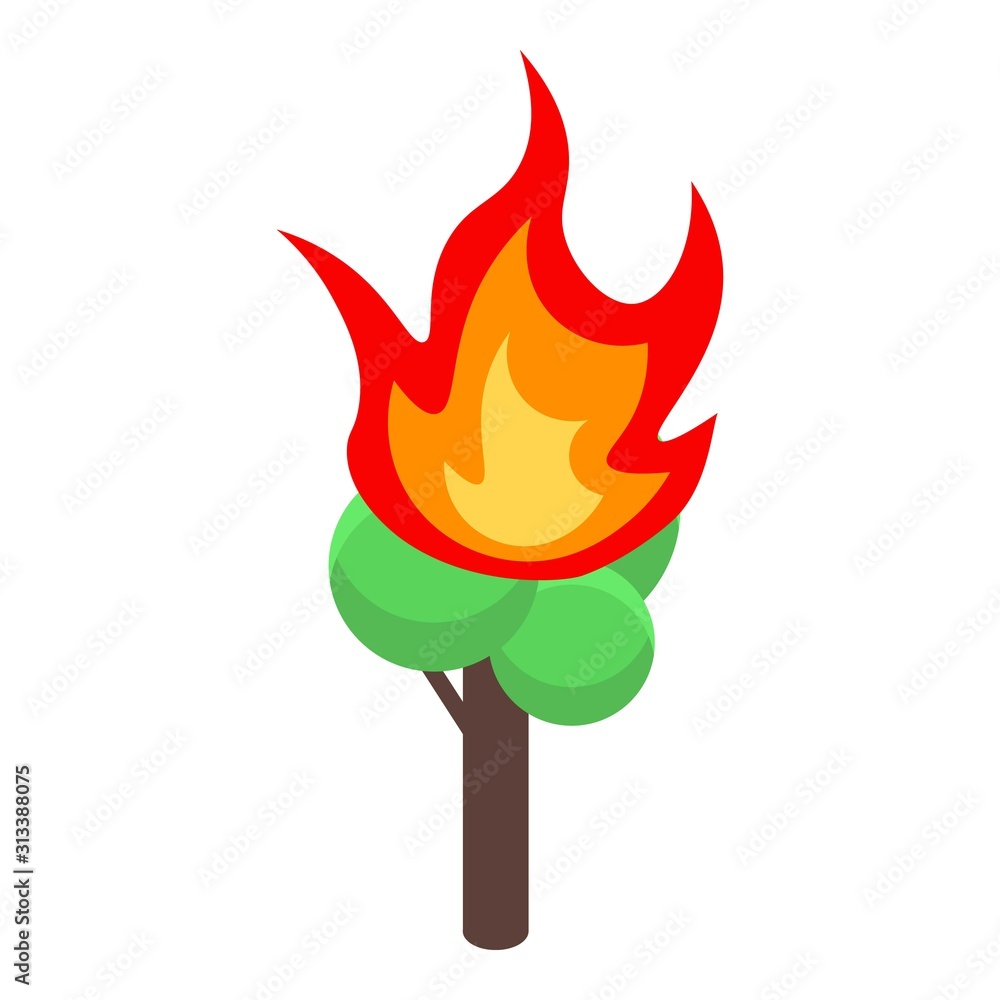 Poster burning green tree icon. isometric of burning green tree vector icon for web design isolated on whit
