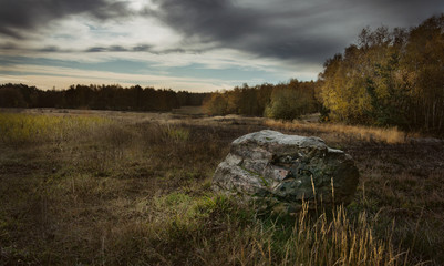 Schavener Heide in der Eifel in Deutschland