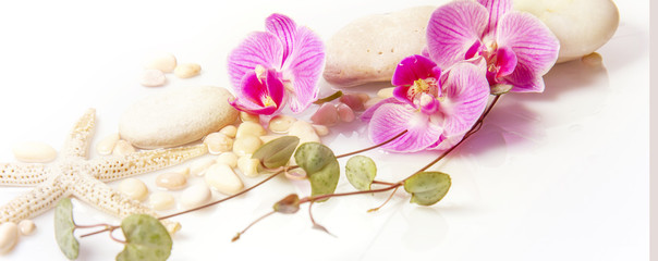 Spa background with stones and purple orchid isolated on white