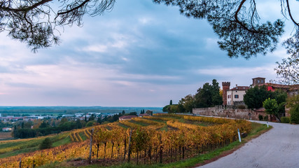 Fototapeta na wymiar Autumn sunset in the vineyards of Collio Friulano