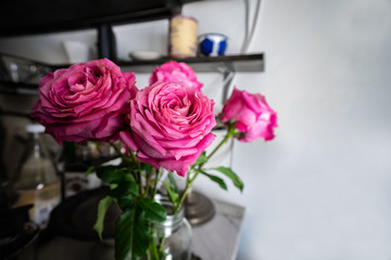 Pink roses in a vase at coffee cafe