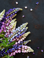 Pink and purple lupine flowers