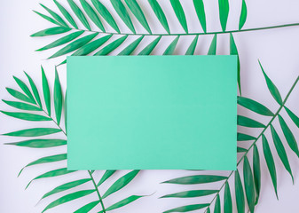 turquoise blue layout with tropical palm leaves on a white background