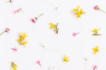 Spring small pink yellow flowers, daisy isolated on white background, frame.