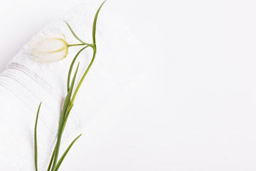 Spa concept with white delicate flower on towel, candle and organic oil on white background, banner