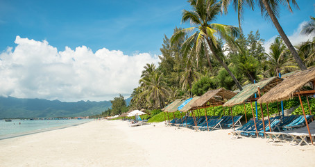 Tropics. Doc Let white sand beach. Palm trees near the beach. Beach canopies and sun loungers. Vietnam.