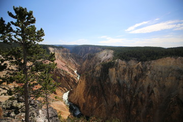 Fototapeta na wymiar The Grand Canyon of Yellowstone National Park